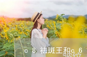 c8祛斑王和c6哪个好