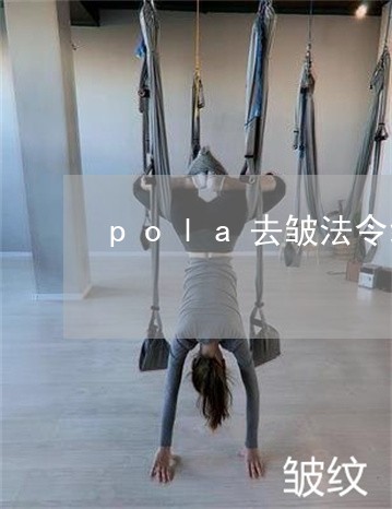 pola去皱法令纹