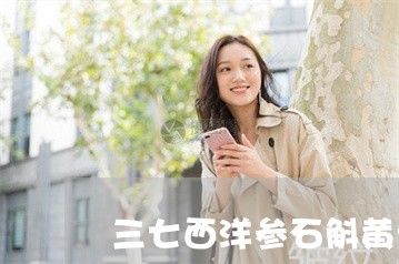 三七西洋参石斛黄芪祛斑 三七西洋参石斛黄芪祛斑