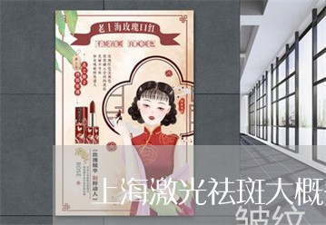 上海激光祛斑大概多少费用