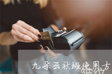 九朵云祛斑使用方法