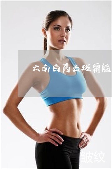 云南白药去斑霜能祛斑吗 云南白药去斑霜能祛斑吗