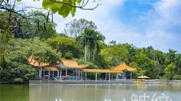 什么口服液能祛斑 什么口服液能祛斑
