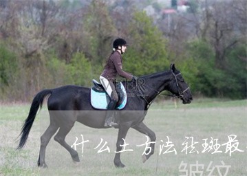 什么土方法祛斑最快速祛