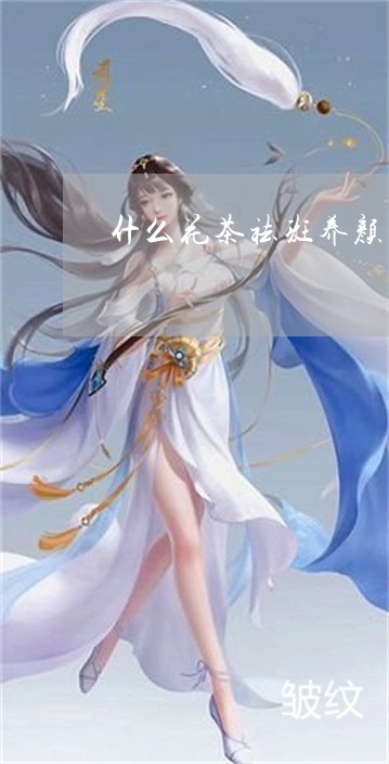 什么花茶祛斑养颜