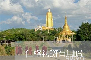 仁格祛斑有用吗