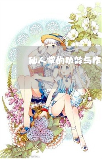 仙人掌的功效与作用可以祛斑吗