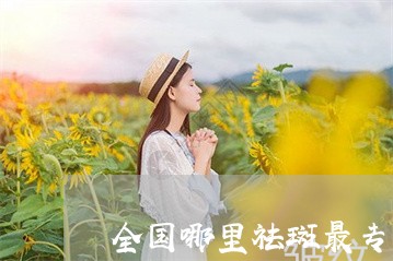 全国哪里祛斑最专业