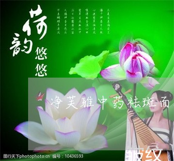 净芙雅中药祛斑面膜