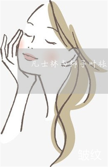 凡士林与柿子叶祛斑的配比 凡士林与柿子叶祛斑的配比