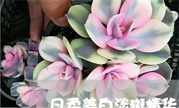 凡柔美白淡斑精华可以祛斑吗