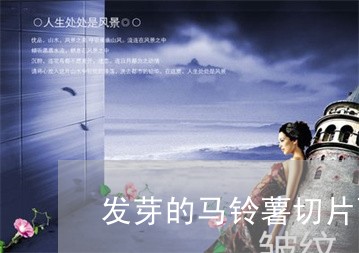 发芽的马铃薯切片面膜可以祛斑吗 发芽的马铃薯切片面膜可以祛斑吗