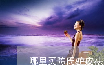 哪里买陈氏驴皮祛斑膏