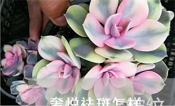 奢悦祛斑怎样