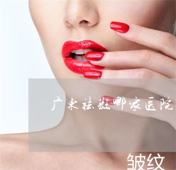 广东祛斑哪家医院好 广东祛斑哪家医院好