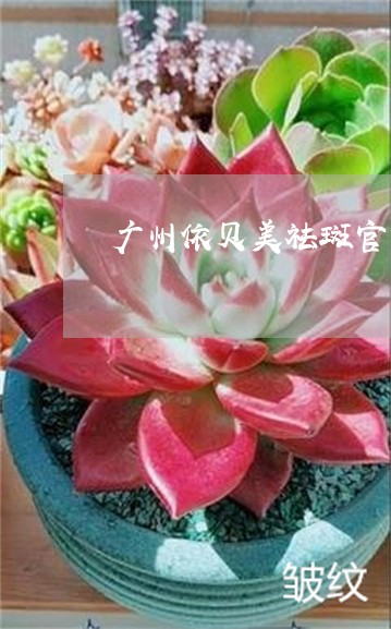 广州依贝美祛斑官网