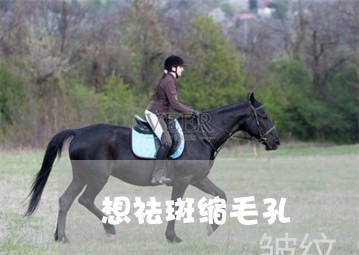 想祛斑缩毛孔