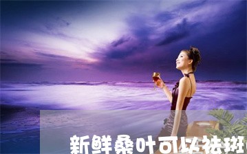 新鲜桑叶可以祛斑吗 新鲜桑叶可以祛斑吗