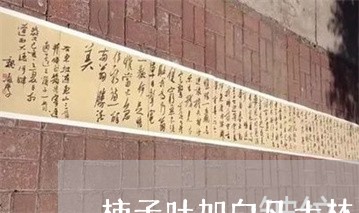 柿子叶加白凡士林可以祛斑吗