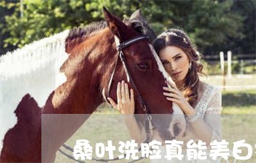 桑叶洗脸真能美白祛斑