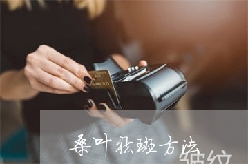 桑叶祛斑方法