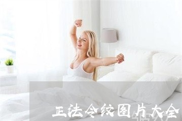 正法令纹图片大全