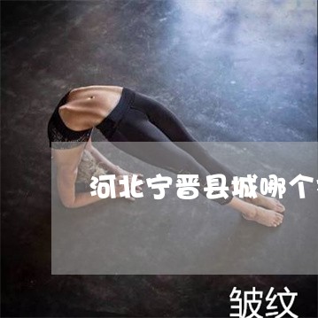 河北宁晋县城哪个祛斑 河北宁晋县城哪个祛斑