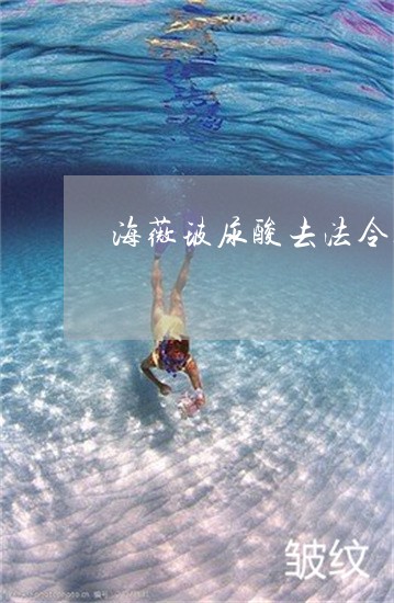 海薇玻尿酸去法令纹多少钱