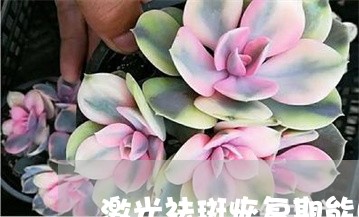 激光祛斑恢复期能吃红枣吗