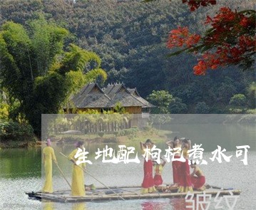 生地配枸杞煮水可以祛斑吗