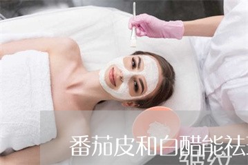 番茄皮和白醋能祛斑吗