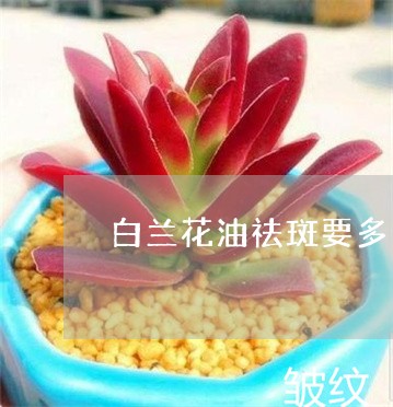 白兰花油祛斑要多久