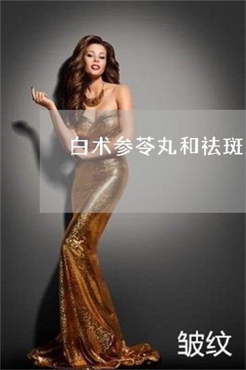 白术参苓丸和祛斑胶囊可以一起吃