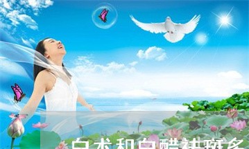 白术和白醋祛斑多久见效