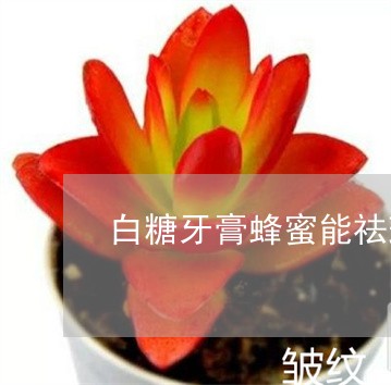 白糖牙膏蜂蜜能祛斑吗