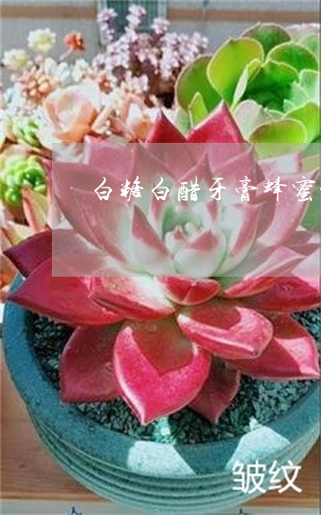 白糖白醋牙膏蜂蜜能美白祛斑吗