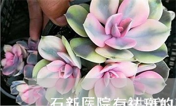 石新医院有祛斑的项目吗