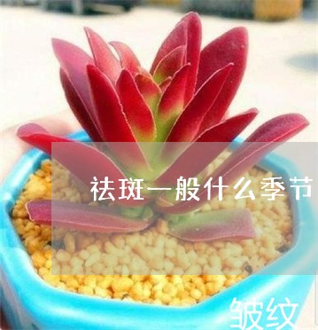 祛斑一般什么季节比较好