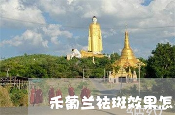 禾葡兰祛斑效果怎么样