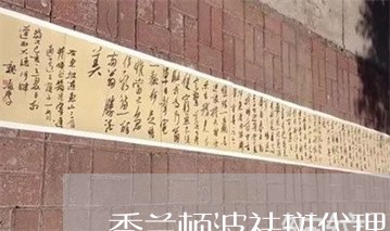 秀兰顿波祛斑代理