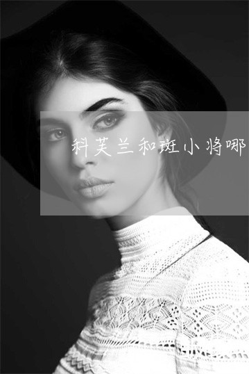 科芙兰和斑小将哪个祛斑效果好