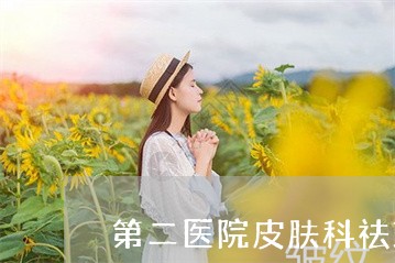 第二医院皮肤科祛斑