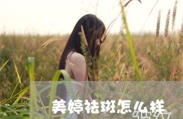 美婷祛斑怎么样 美婷祛斑怎么样