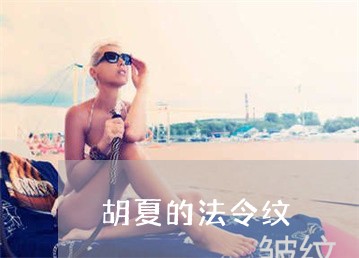 胡夏的法令纹