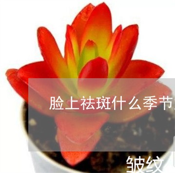 脸上祛斑什么季节好