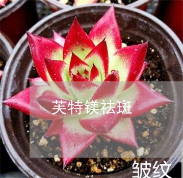 芙特镁祛斑