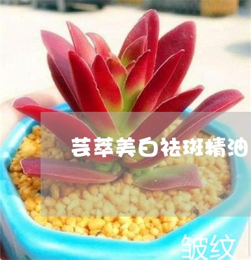 芸萃美白祛斑精油