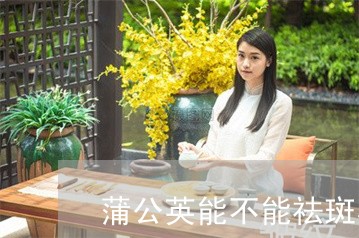 蒲公英能不能祛斑美白