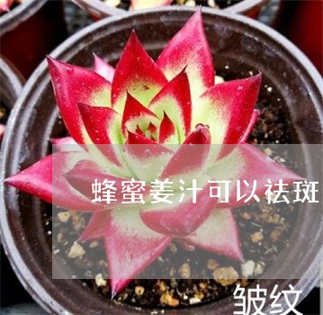 蜂蜜姜汁可以祛斑吗