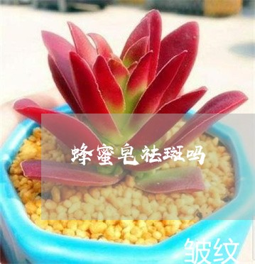 蜂蜜皂祛斑吗